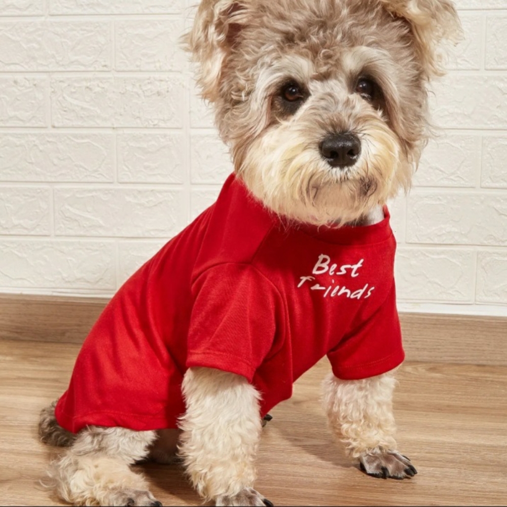 Pet Tee For Small & Medium pet "Best Friends" pet T-Shirts